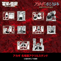 アカギアクスタ1.jpg