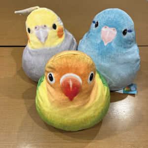 インコ.jpg