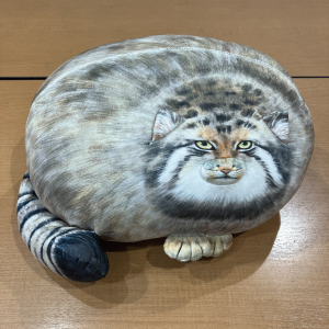 マヌル.jpg