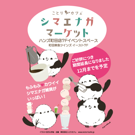【町田店】ことりカフェ『シマエナガマーケット』開催期間延長になりました♪